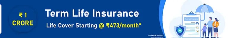 Term Life Insurance Term Life Insurance